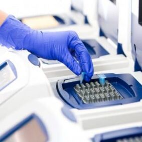 PCR анализ